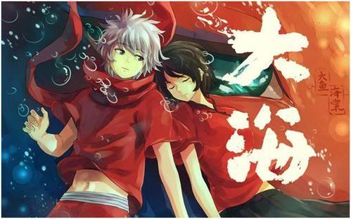 大鱼海棠2在线观看,守护家园,传承爱与勇气 第2张 大鱼海棠2在线观看,守护家园,传承爱与勇气 第2张